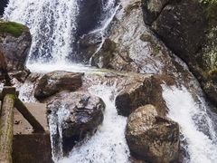 -牛背梁国家森林公园