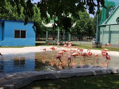 -秦皇岛野生动物园
