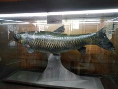 -南京金牛湖风景区