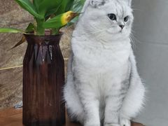-良兴火锅