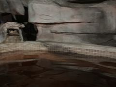 -中家鑫园温泉酒店鑫悦汤泉