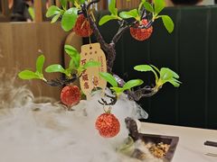 -椿记烧鹅(叠彩店)