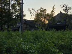 -乌村