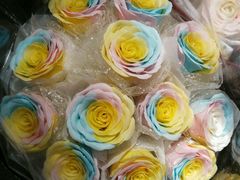 android_upload_pic-盛世荣兰花艺