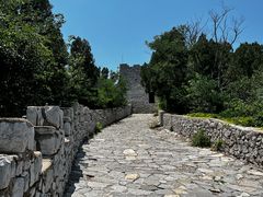 -原山国家森林公园