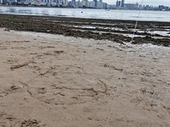 -青岛第三海水浴场