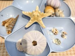 -郑在DIY·潮玩银饰绘画手作(中央大道旗舰店)