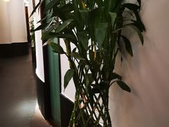 -儒之堂足道·SPA·推拿(莫干山路店)