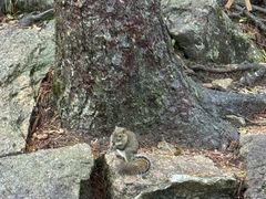 -黄山白云宾馆