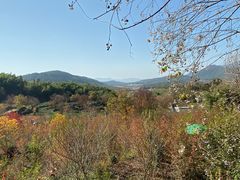 -塔川景区
