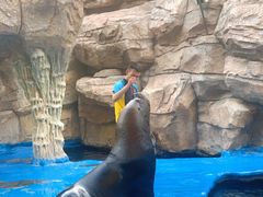 -华夏文旅海洋公园