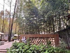 -林间山庄