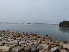 -宝安西湾红树林湿地公园