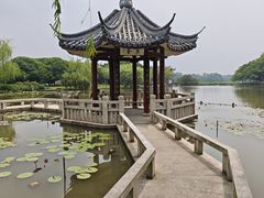 -江心屿景区
