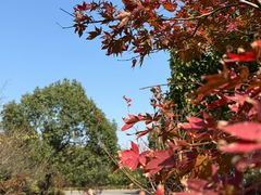 -敬亭山风景名胜区