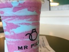 独角兽～-飞行喵MR PILOT|猫舍·猫咖(静安大融城店)