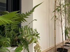-十二舍·湯物素煮(江泰潤政店)