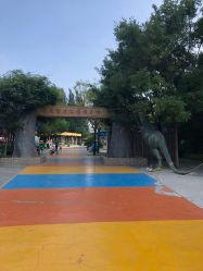 -大望京儿童游乐场