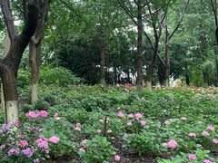-杭州电子科技大学(下沙校区)