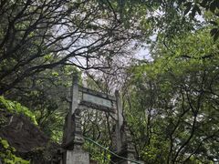 -抚仙湖禄充风景区