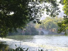 -荔湾湖公园