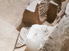 -洛阳周王城天子驾六博物馆