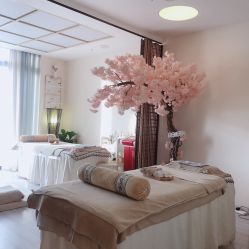-至臻康妍健康管理中心