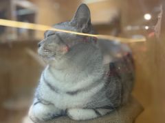 -山东嘉汇文化用品有限公司张店凤凰国际分公司(新村西路店)