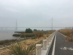 -芒洲湿地公园