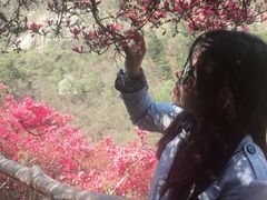 -木兰云雾山