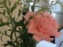 -新侨三宝乐西餐厅(崇文门店)