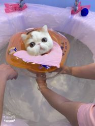 -马博士婴幼儿游泳馆(广安门旗舰店)