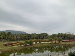 -厦门国家会计学院