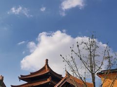 -亭林园-华藏寺