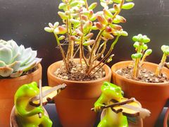 -懒人盐府人家(航天桥店)