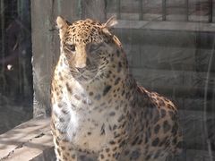 -攀枝花公园