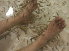 -御池园(顾村公园店)