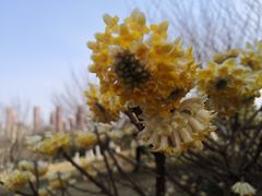 -白塘生态植物园