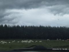 -塞罕坝国家级自然保护区