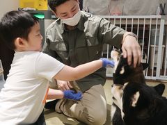 -逗柴咖啡屋·狗咖猫咖宠物桌游