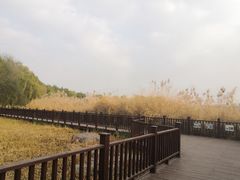 -丰台科技园生态主题公园