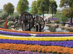 -南通洲际绿博园