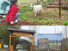 -加顺农场餐厅