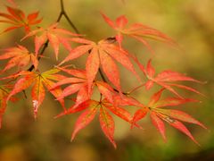 -共青国家森林公园-售票处