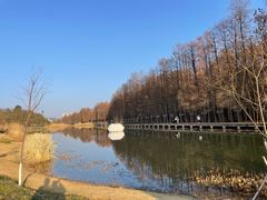-青山湖景区