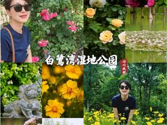 -白鹭湾湿地公园