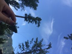 iphone_upload_pic-九皇山景区