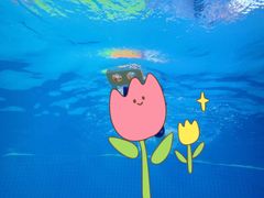 -沥鲨亲子游泳俱乐部(金沙洲中心)