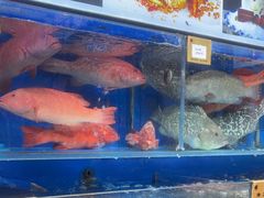 -鹊华居·地道鲁菜·海鲜·融合味(大明湖店)