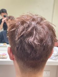 -Garden花園造型